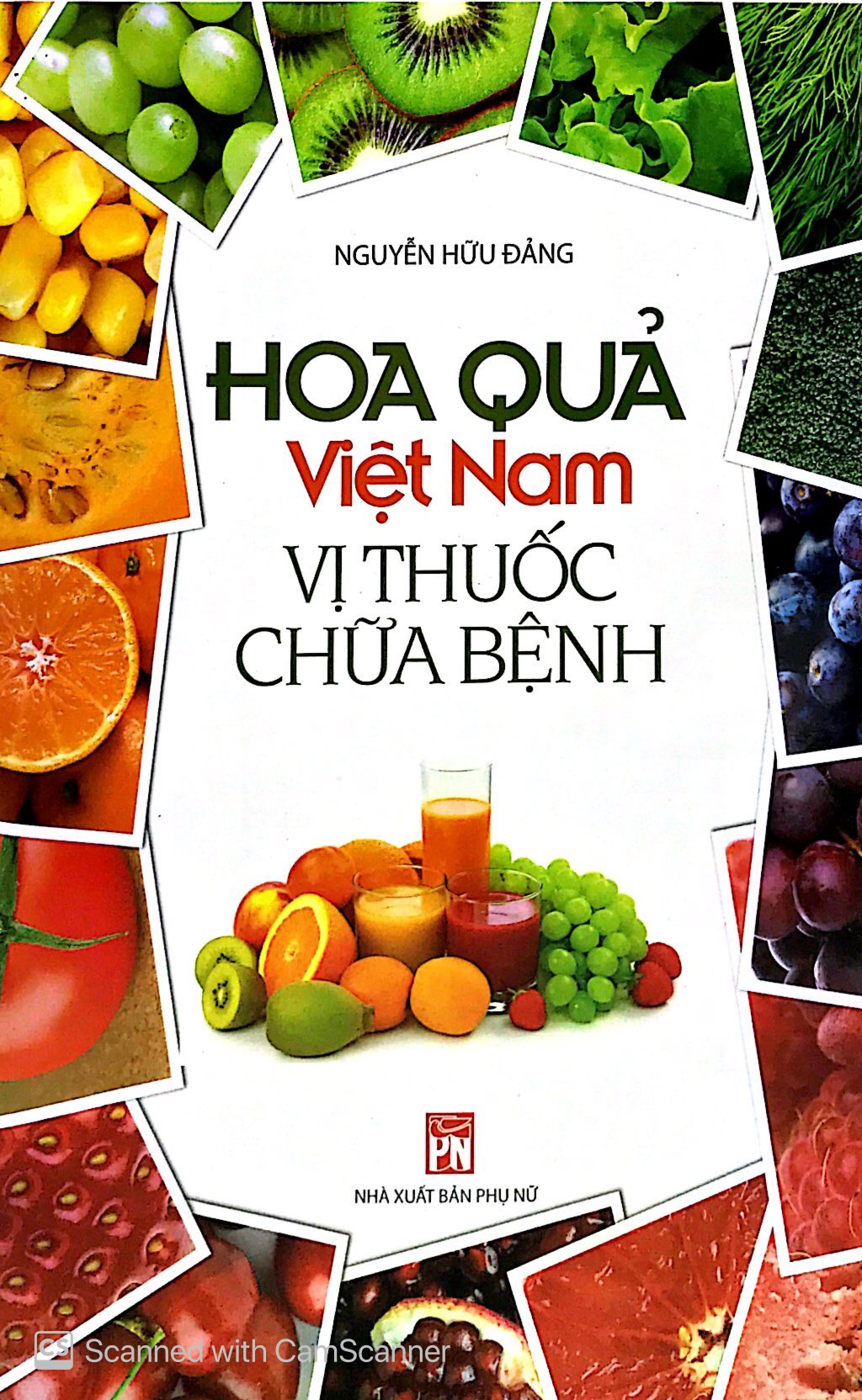 Hoa Quả Việt Nam Vị Thuốc Chữa Bệnh PDF
