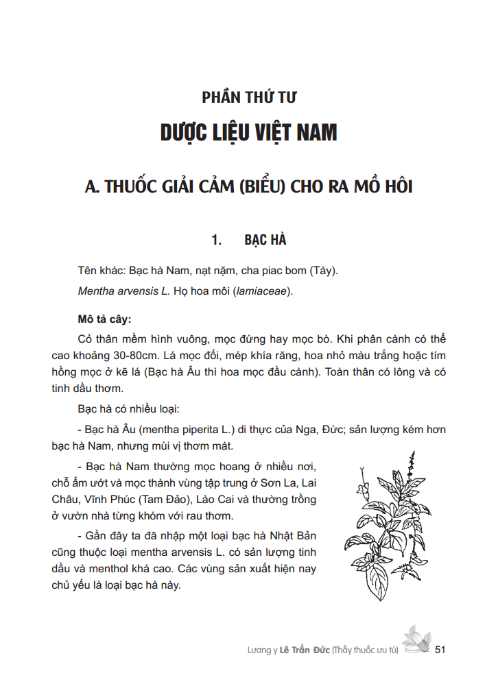 Cây Thuốc Việt Nam - Trồng Hái Chế Biến Trị Bệnh Ban Đầu Bìa Cứng PDF