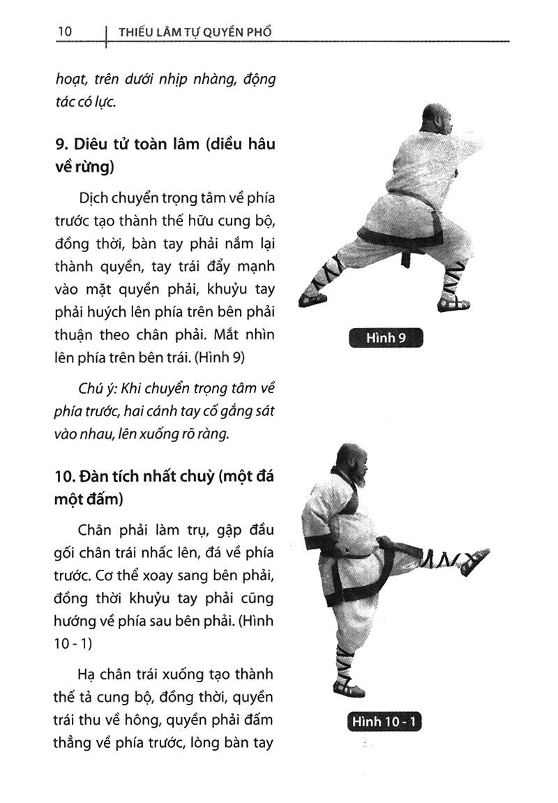 Thiếu Lâm Tự Quyền Phổ Tập 2 - Tâm Ý Môn PDF