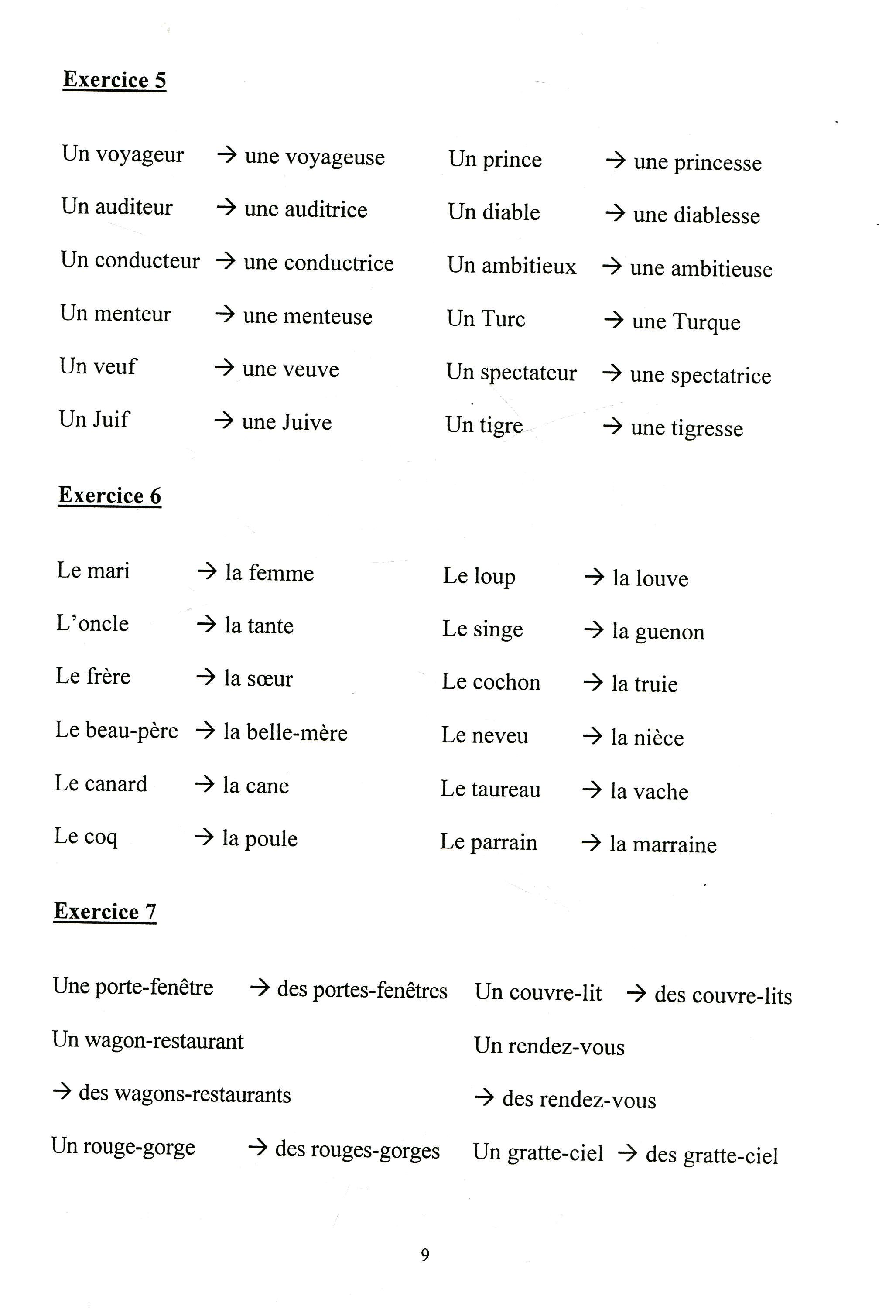 Bài Giải Ngữ Pháp Tiếng Pháp PDF