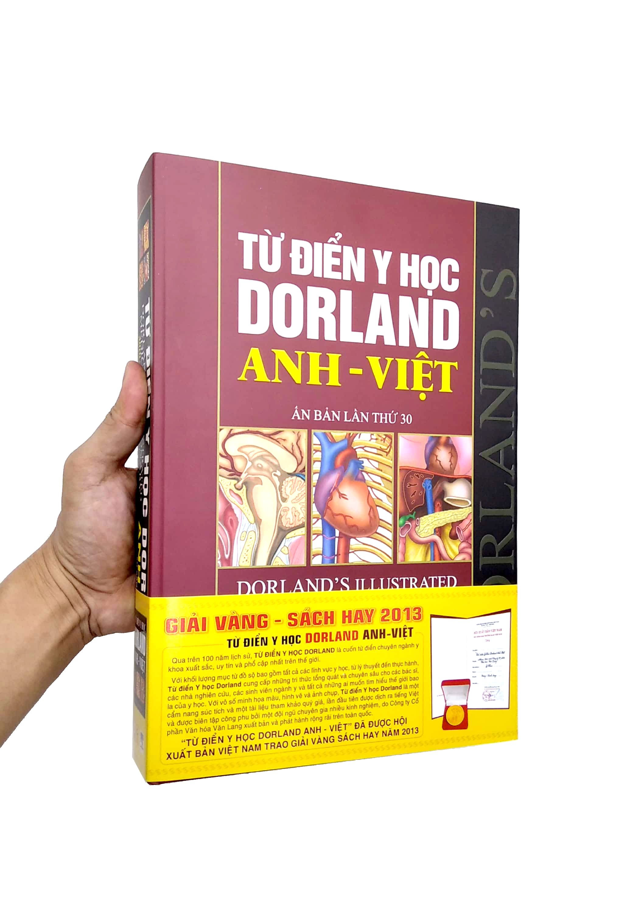 Từ Điển Y Học DorLand Anh - Việt PDF