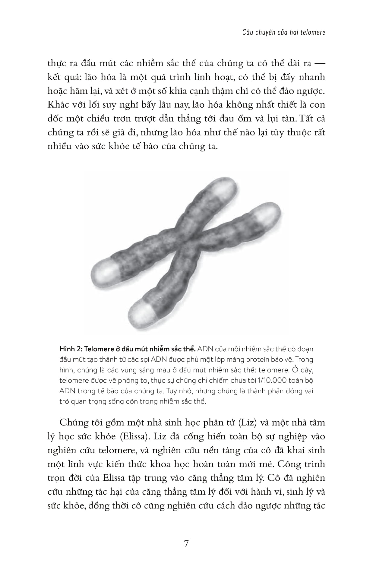 Hiệu Ứng Telomere: Giải Pháp Đột Phá Để Sống Trẻ, Khỏe, Và Ngăn Ngừa Lão Hóa PDF