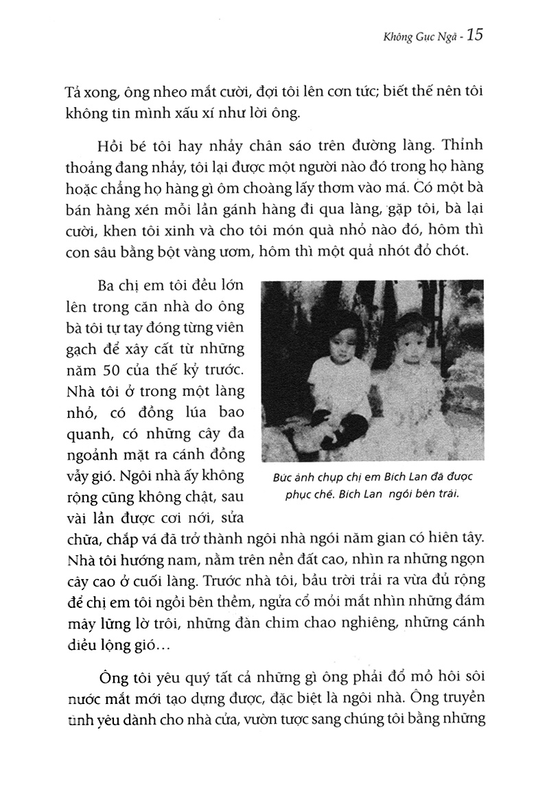 Tự Truyện Nguyễn Bích Lan - Không Gục Ngã PDF