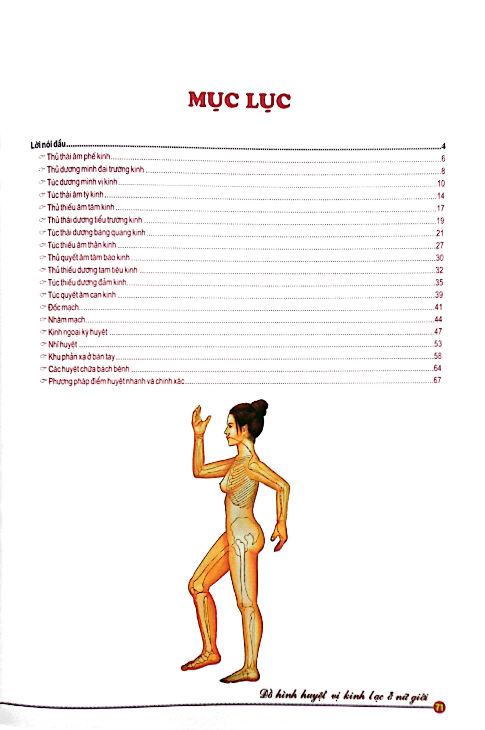 Đồ Hình Huyệt Vị Kinh Lạc Ở Nữ Giới PDF