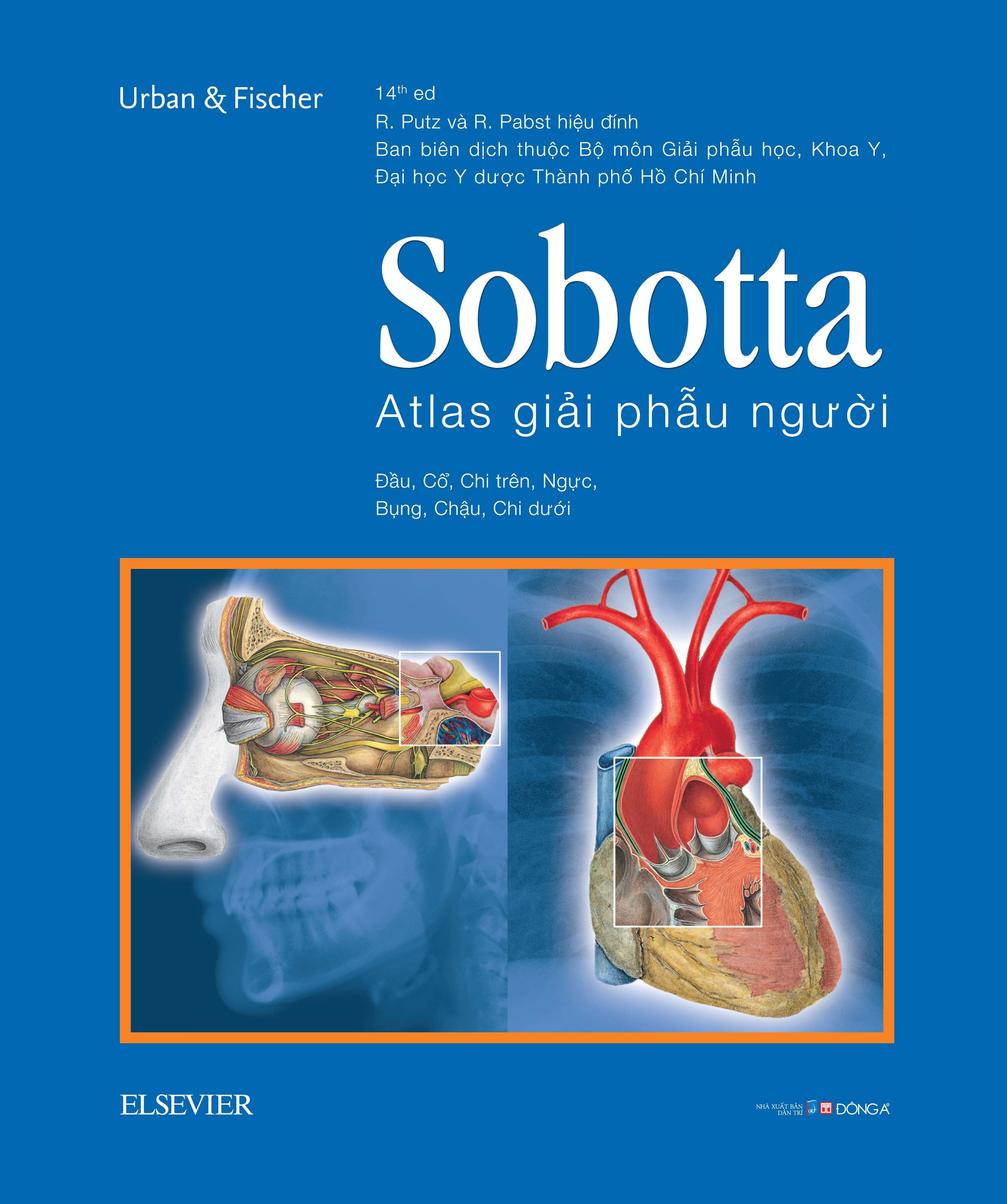 Sobotta Atlas Giải Phẫu Người PDF