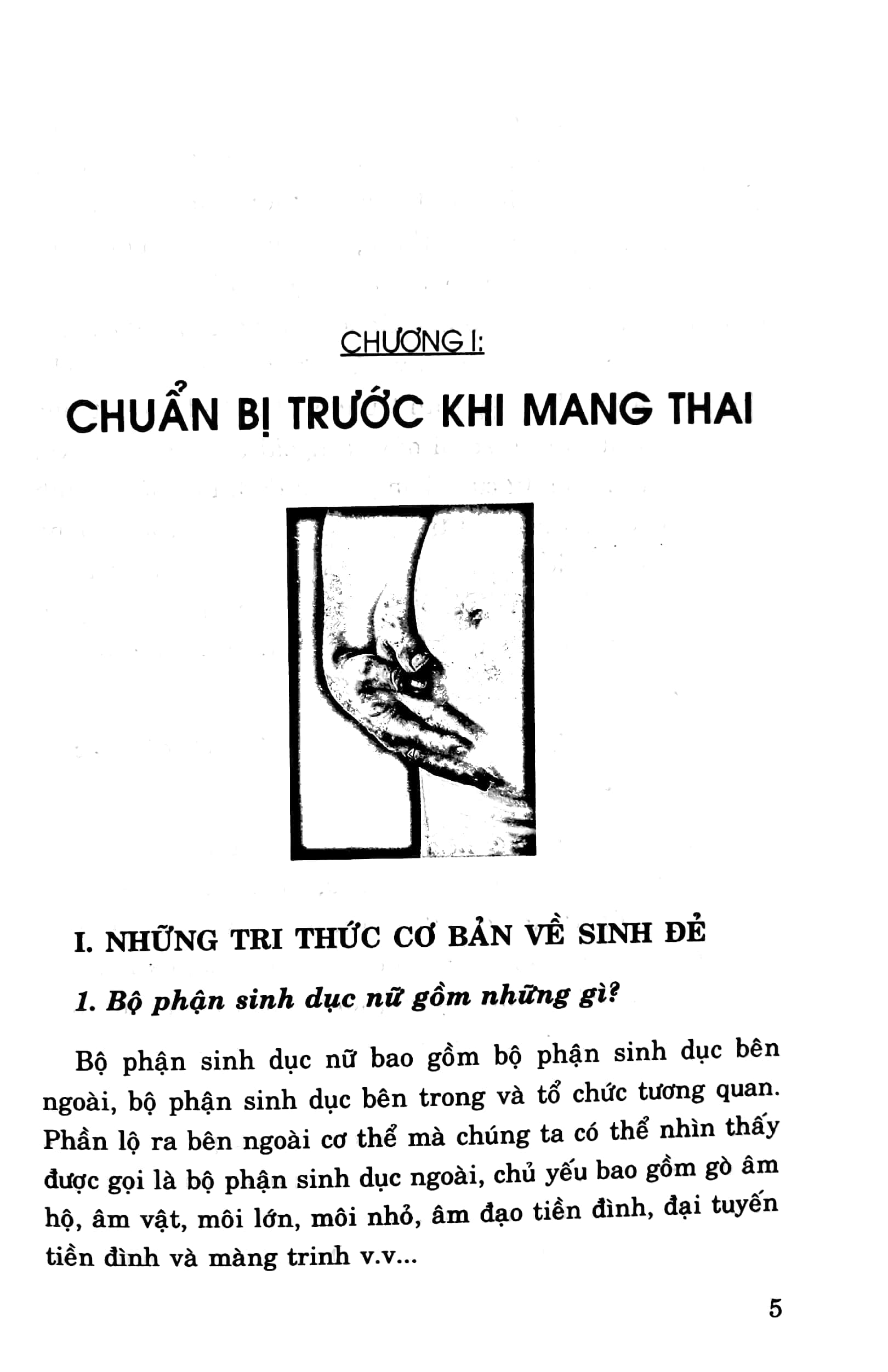 Bách khoa Tri Thức Thai Sản Tập 1 - Để Sinh Con Khỏe Mạnh & Thông Minh PDF
