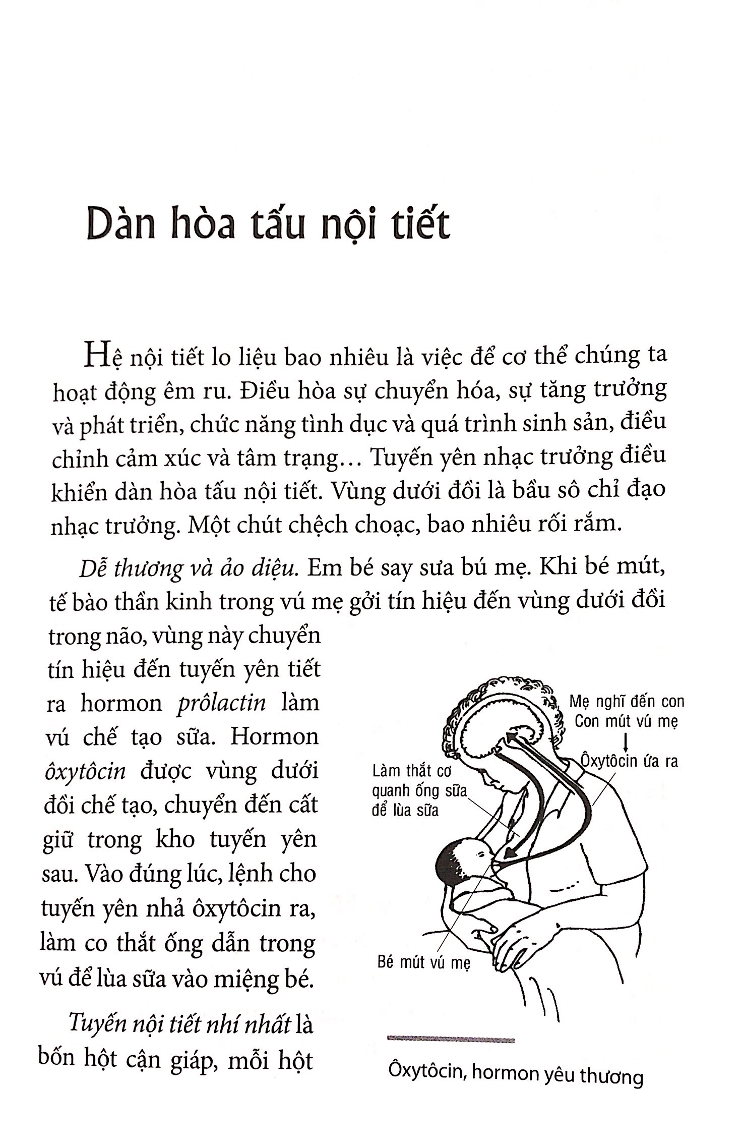 Kỳ Diệu Dàn Hòa Tấu Nội Tiết 2018 PDF