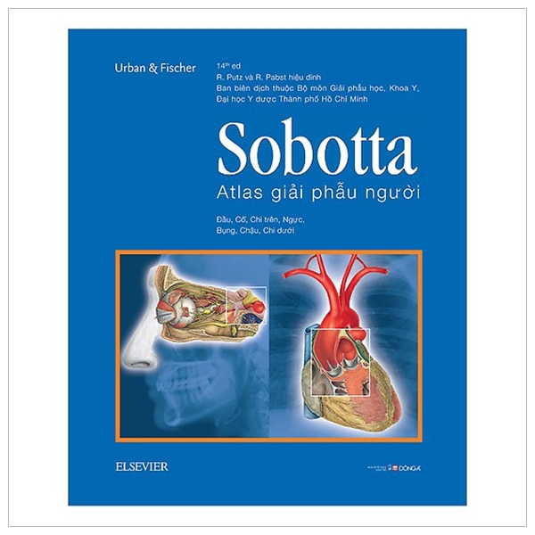 Sobotta Atlas Giải Phẫu Người PDF