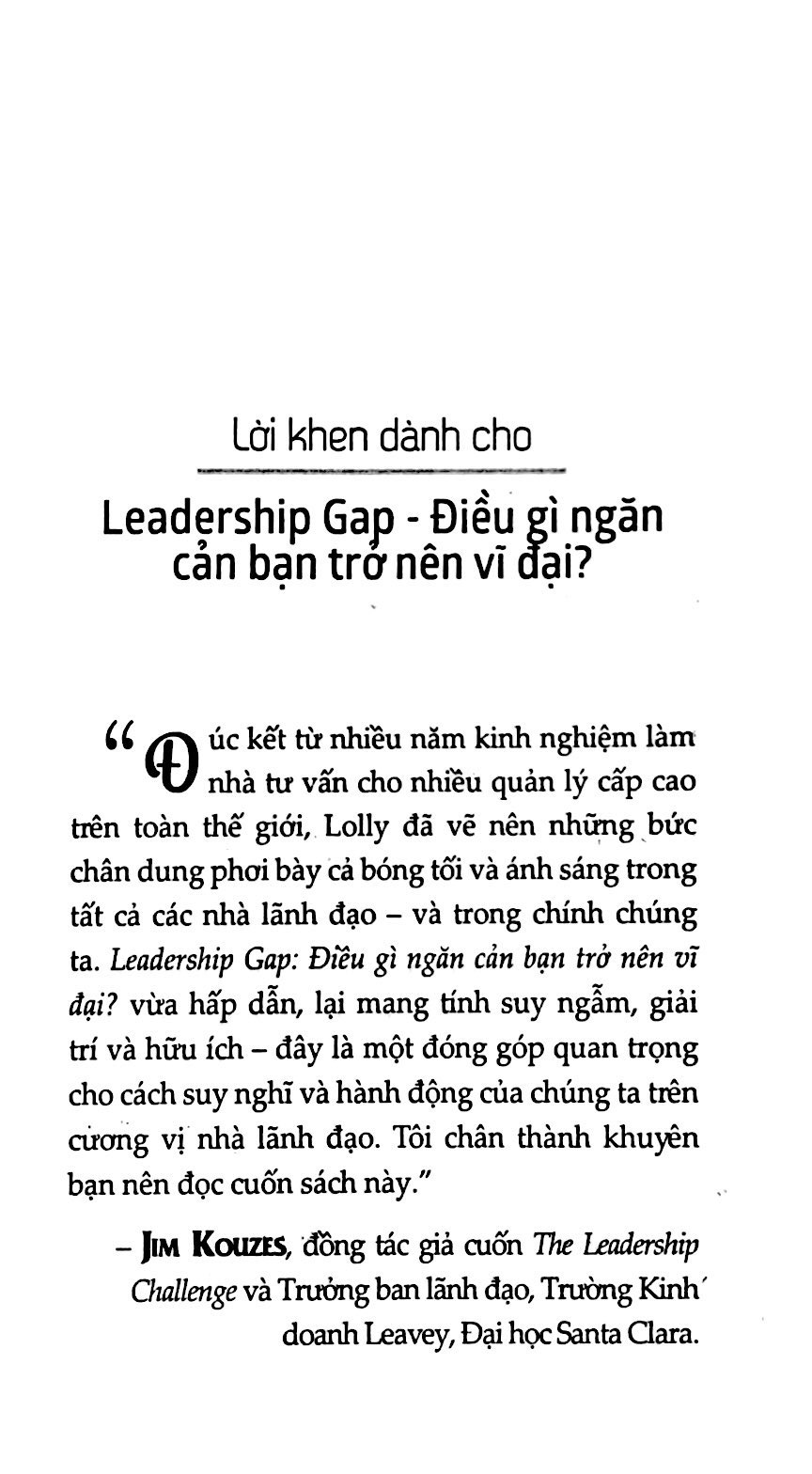 The Leadership Gap PDF