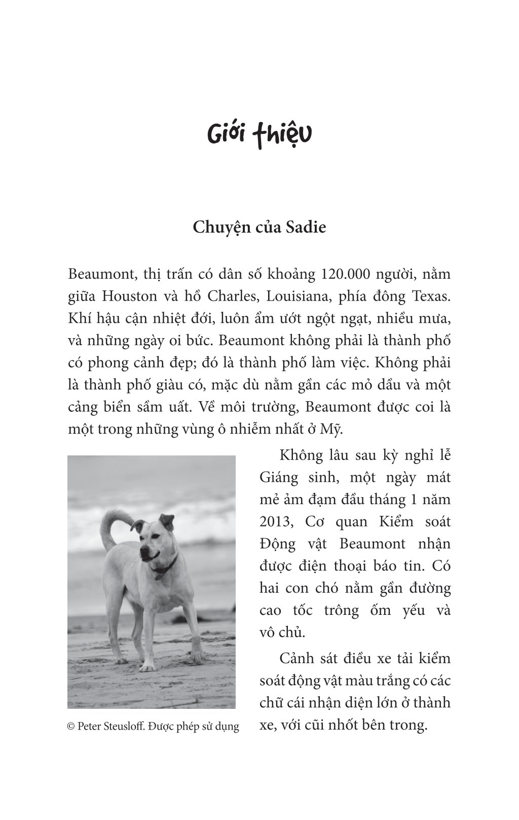 Nghĩ Như Một Chú Chó - Loài Chó Dạy Ta Sống Hạnh Phúc Và Thành Công PDF