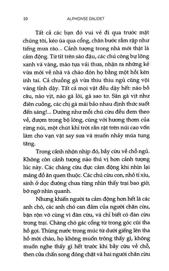 Lá Thư Hè PDF